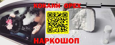 сатива Новозыбков