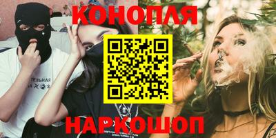 сатива Новозыбков