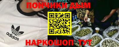 сатива Новозыбков