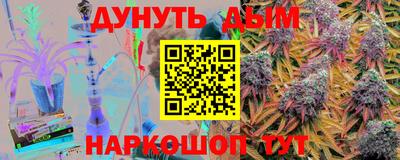 сатива Новозыбков