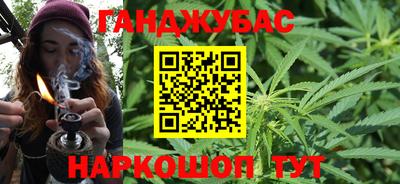 сатива Новозыбков