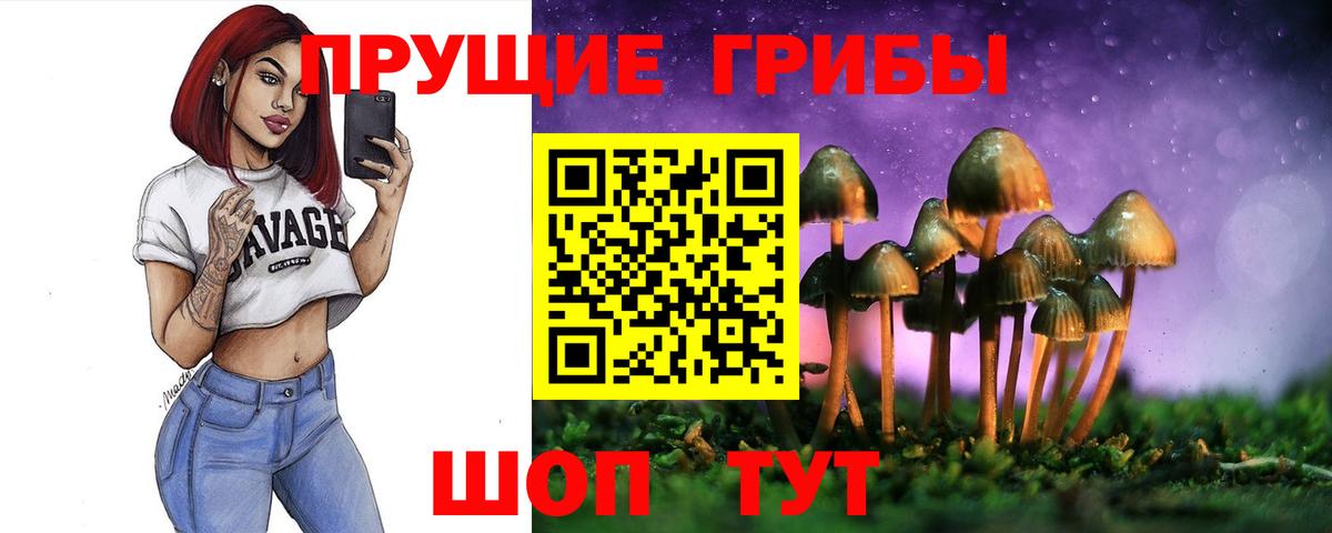 Ялуторовск  Псилоцибиновые грибы мухоморы  Галлюциногенные грибы GOLDEN TEACHER  где купить наркотик  Вход с VPN 